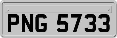 PNG5733