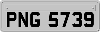 PNG5739