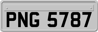 PNG5787