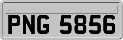 PNG5856