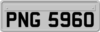 PNG5960