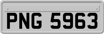 PNG5963