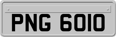 PNG6010