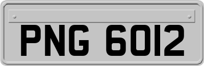 PNG6012