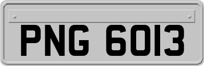 PNG6013