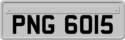PNG6015