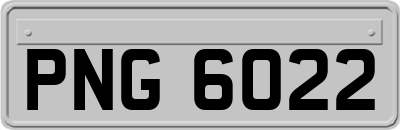 PNG6022