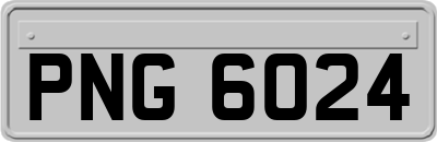 PNG6024