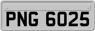 PNG6025