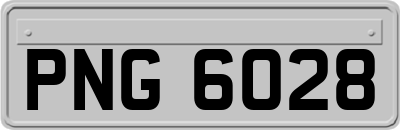 PNG6028