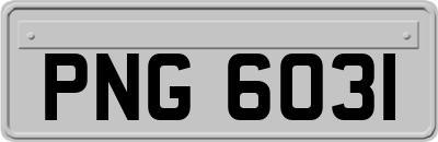PNG6031