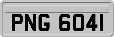PNG6041