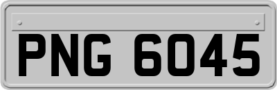 PNG6045