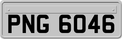PNG6046