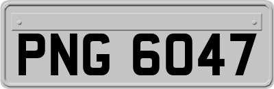 PNG6047