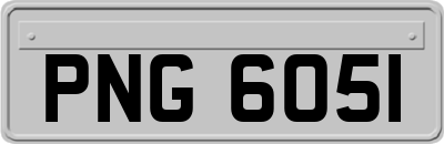 PNG6051