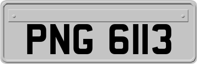 PNG6113
