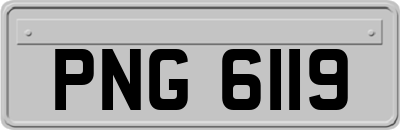 PNG6119