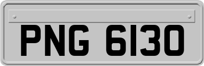 PNG6130