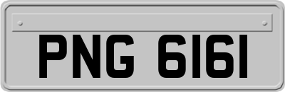 PNG6161