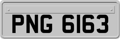PNG6163