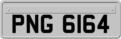 PNG6164