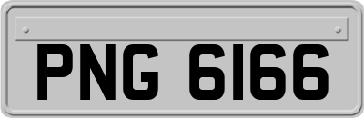 PNG6166