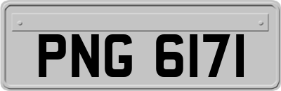PNG6171