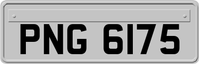 PNG6175
