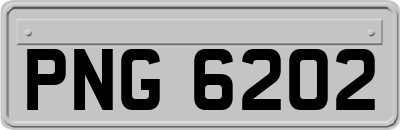 PNG6202