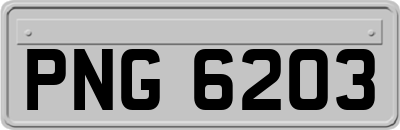 PNG6203