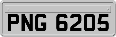 PNG6205