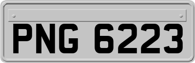 PNG6223