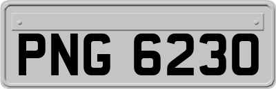 PNG6230