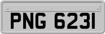 PNG6231