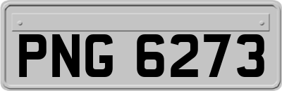 PNG6273