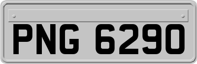 PNG6290