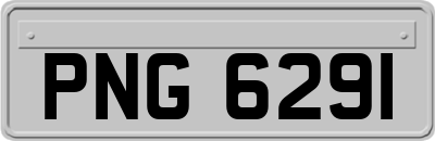 PNG6291