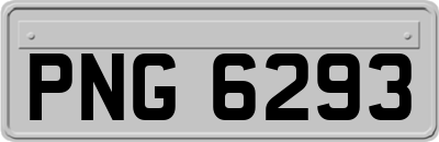 PNG6293