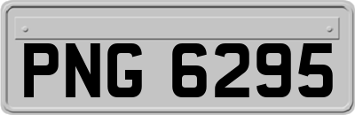 PNG6295