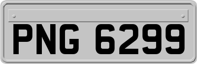 PNG6299
