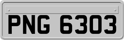 PNG6303