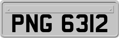 PNG6312