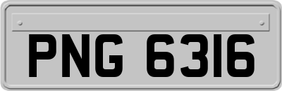 PNG6316