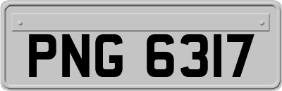 PNG6317