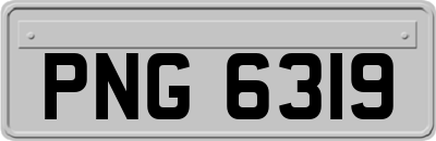 PNG6319