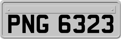 PNG6323