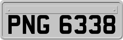 PNG6338