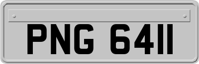PNG6411