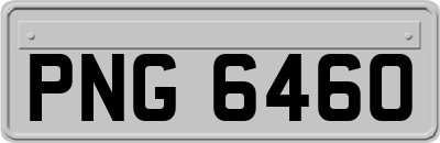 PNG6460
